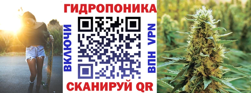 Бошки марихуана LSD WEED купить наркоту KRAKEN как зайти Анжеро-Судженск